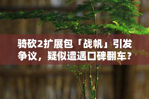 骑砍2扩展包「战帆」引发争议，疑似遭遇口碑翻车？