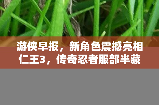 游侠早报，新角色震撼亮相仁王3，传奇忍者服部半藏揭晓；而备受瞩目的巫师4宣布缺席2025年TGA典礼