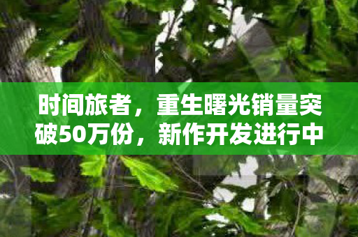 时间旅者，重生曙光销量突破50万份，新作开发进行中