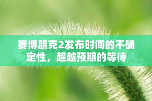 赛博朋克2发布时间的不确定性，超越预期的等待