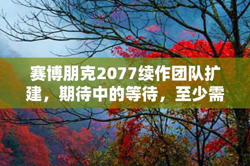 赛博朋克2077续作团队扩建，期待中的等待，至少需到2028年展望
