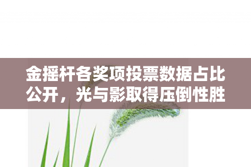 金摇杆各奖项投票数据占比公开，光与影取得压倒性胜利