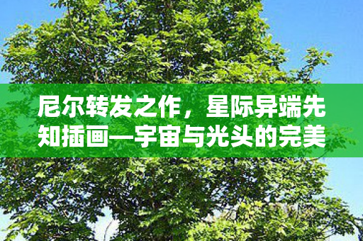 尼尔转发之作，星际异端先知插画—宇宙与光头的完美融合