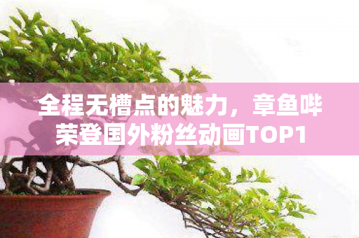 全程无槽点的魅力，章鱼哔荣登国外粉丝动画TOP1