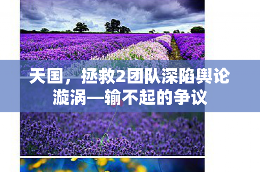 天国，拯救2团队深陷舆论漩涡—输不起的争议