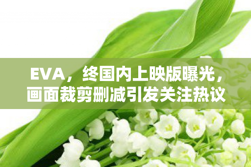 EVA，终国内上映版曝光，画面裁剪删减引发关注热议