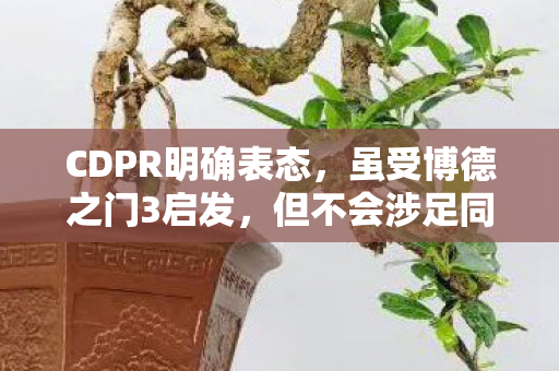 CDPR明确表态，虽受博德之门3启发，但不会涉足同类游戏制作
