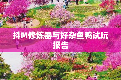 抖M修炼器与好杂鱼鸭试玩报告