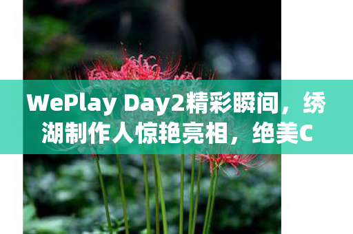 WePlay Day2精彩瞬间，绣湖制作人惊艳亮相，绝美COS盛宴！