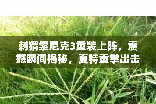 刺猬索尼克3重装上阵，震撼瞬间揭秘，夏特重拳出击！