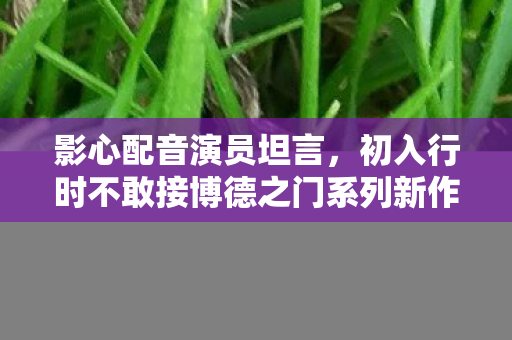 影心配音演员坦言，初入行时不敢接博德之门系列新作的心声