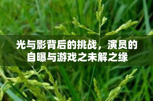 光与影背后的挑战，演员的自曝与游戏之未解之缘