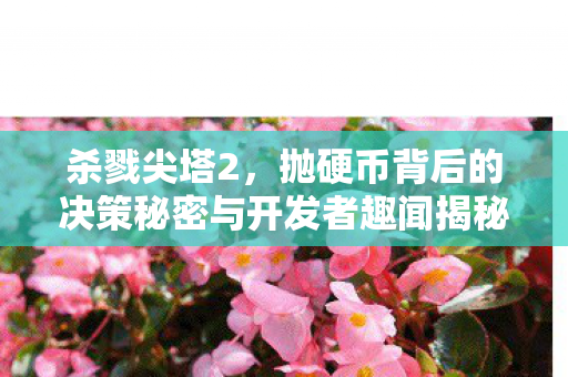 杀戮尖塔2，抛硬币背后的决策秘密与开发者趣闻揭秘