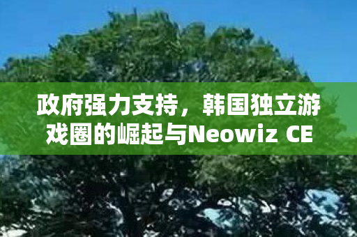 政府强力支持，韩国独立游戏圈的崛起与Neowiz CEO的见证