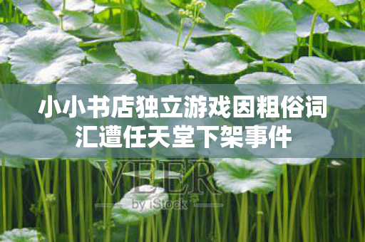 小小书店独立游戏因粗俗词汇遭任天堂下架事件