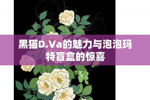黑猫D.Va的魅力与泡泡玛特盲盒的惊喜