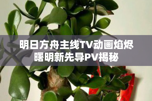 明日方舟主线TV动画焰烬曙明新先导PV揭秘