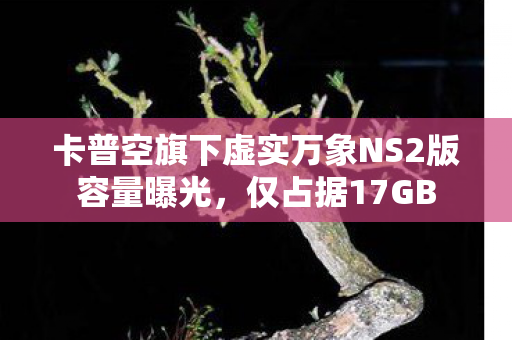 卡普空旗下虚实万象NS2版容量曝光，仅占据17GB