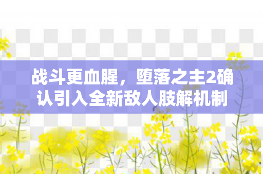 战斗更血腥，堕落之主2确认引入全新敌人肢解机制