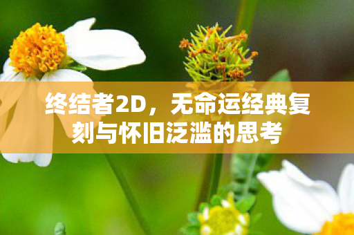 终结者2D，无命运经典复刻与怀旧泛滥的思考