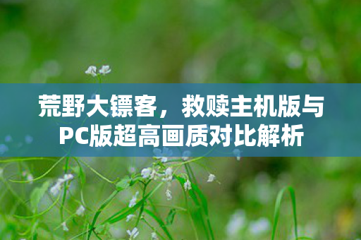 荒野大镖客，救赎主机版与PC版超高画质对比解析