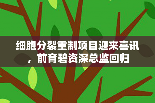 细胞分裂重制项目迎来喜讯，前育碧资深总监回归