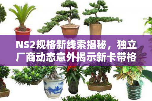 NS2规格新线索揭秘，独立厂商动态意外揭示新卡带格式走向