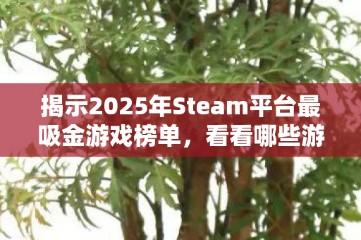 揭示2025年Steam平台最吸金游戏榜单，看看哪些游戏最赚钱！