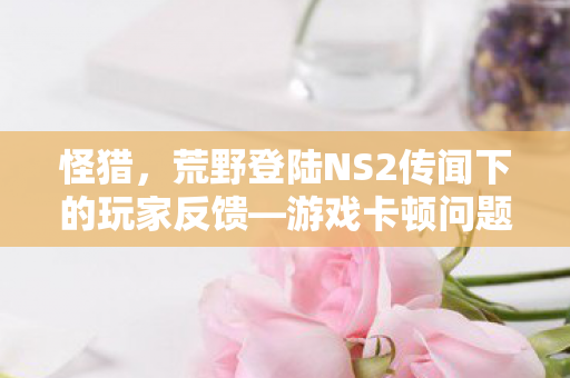 怪猎，荒野登陆NS2传闻下的玩家反馈—游戏卡顿问题探讨