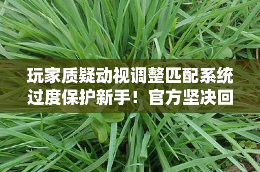 玩家质疑动视调整匹配系统过度保护新手！官方坚决回应，绝无此事