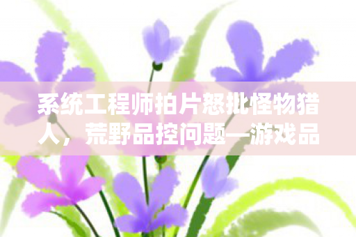 系统工程师拍片怒批怪物猎人，荒野品控问题—游戏品质烂爆！