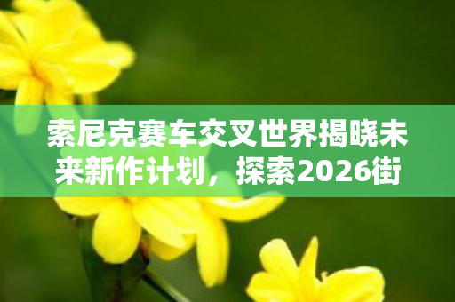 索尼克赛车交叉世界揭晓未来新作计划，探索2026街机赛车新纪元