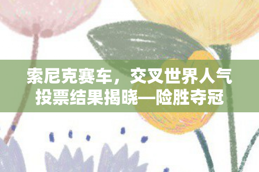 索尼克赛车，交叉世界人气投票结果揭晓—险胜夺冠