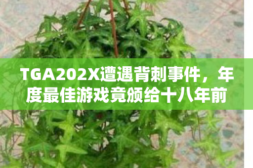 TGA202X遭遇背刺事件，年度最佳游戏竟颁给十八年前经典老物，喷神现场反应失控