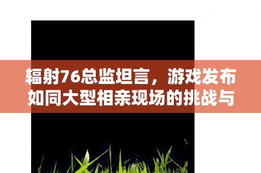 辐射76总监坦言，游戏发布如同大型相亲现场的挑战与风险