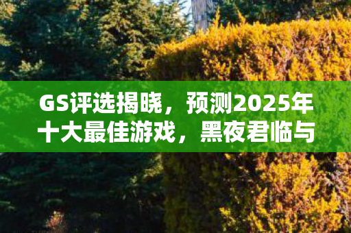 GS评选揭晓，预测2025年十大最佳游戏，黑夜君临与寂静岭f荣耀上榜！