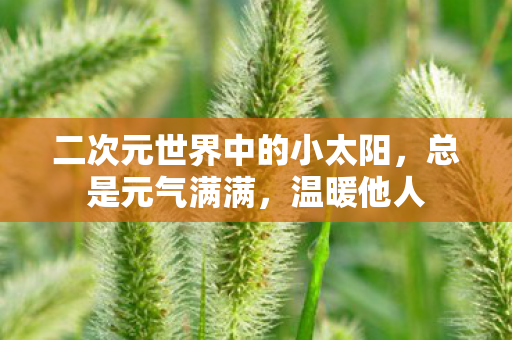 二次元世界中的小太阳，总是元气满满，温暖他人