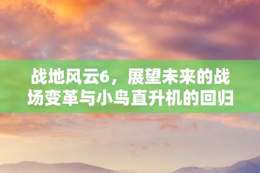 战地风云6，展望未来的战场变革与小鸟直升机的回归