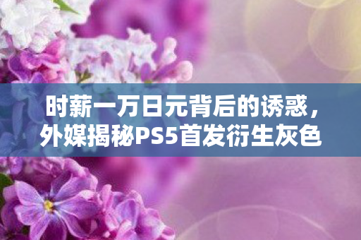 时薪一万日元背后的诱惑，外媒揭秘PS5首发衍生灰色产业链
