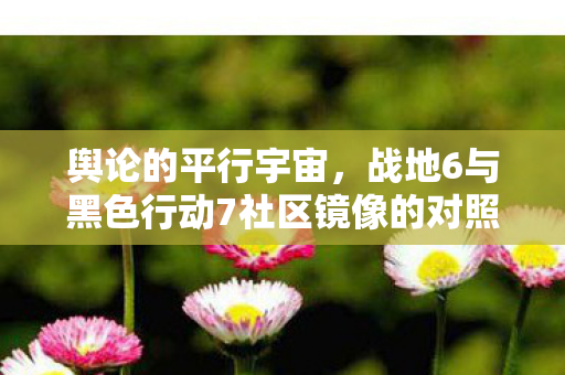 舆论的平行宇宙，战地6与黑色行动7社区镜像的对照研究
