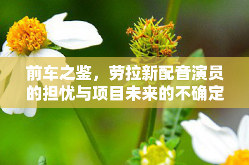 前车之鉴，劳拉新配音演员的担忧与项目未来的不确定性