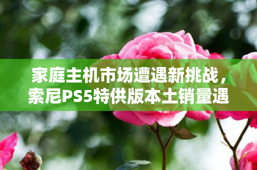 家庭主机市场遭遇新挑战，索尼PS5特供版本土销量遇冷，失宠现象解析