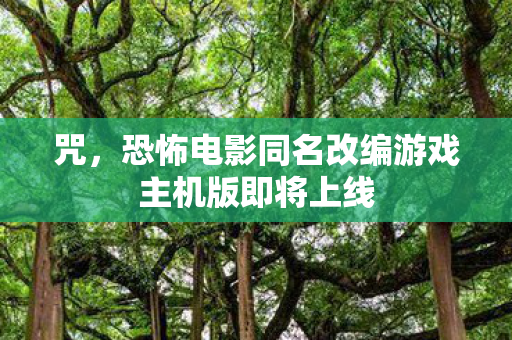 咒，恐怖电影同名改编游戏主机版即将上线