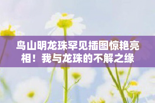 鸟山明龙珠罕见插图惊艳亮相！我与龙珠的不解之缘