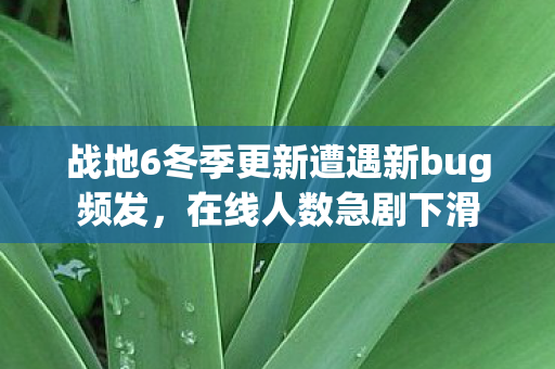 战地6冬季更新遭遇新bug频发，在线人数急剧下滑