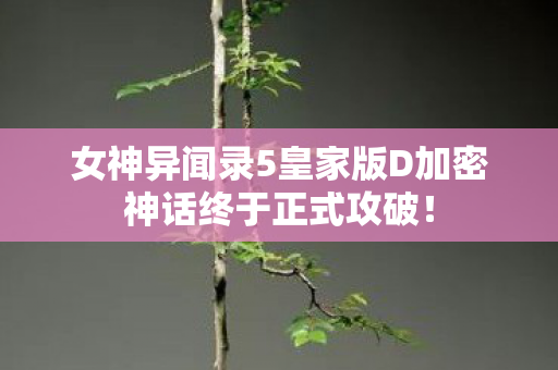 女神异闻录5皇家版D加密神话终于正式攻破！
