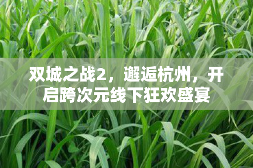 双城之战2，邂逅杭州，开启跨次元线下狂欢盛宴