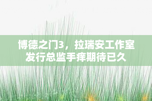 博德之门3，拉瑞安工作室发行总监手痒期待已久