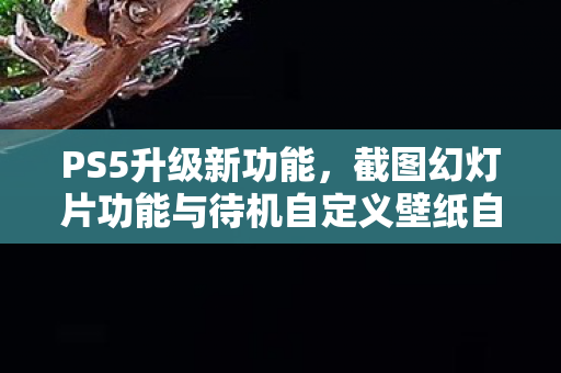 PS5升级新功能，截图幻灯片功能与待机自定义壁纸自动切换