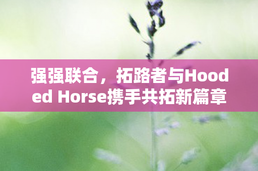 强强联合，拓路者与Hooded Horse携手共拓新篇章